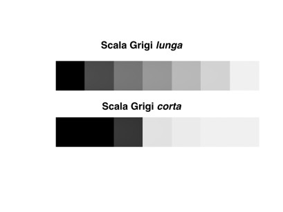 2. Rappresentazione di come varia la presenza di più grigi con la modificazione del contrasto: 1) lunga scala di grigi, riducendo il contrasto; 2) corta scala di grigi, aumentando il contrasto. 
