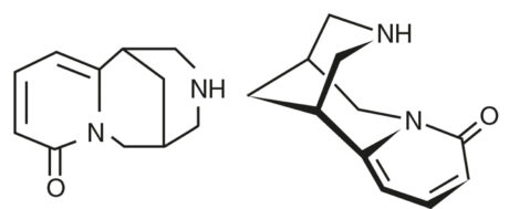 Formula di struttura di Citisina. (Formula empirica di Citisina: C11H 14ON 2) (1R-cis) -1,2,3,4,5,6-hexahidro-1,5-metano-8h-pirido [1,2a] [1,5] diazocin-8-one