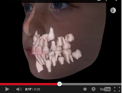 dentizione mista dentizione permanente eruzione
