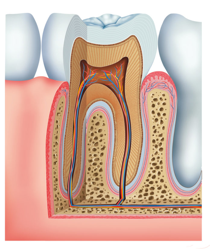 DM_il dentista moderno_metalloproteinasi odontoiatria restaurativa
